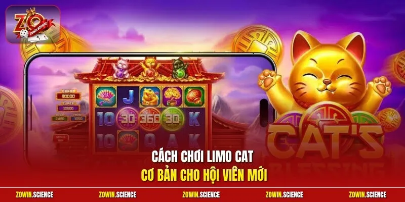 Cách chơi Limo Cat cơ bản cho hội viên mới