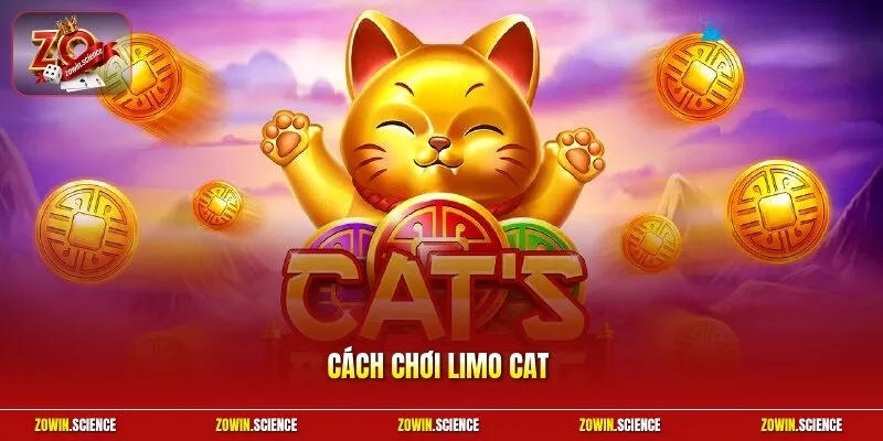 Cách chơi Limo Cat