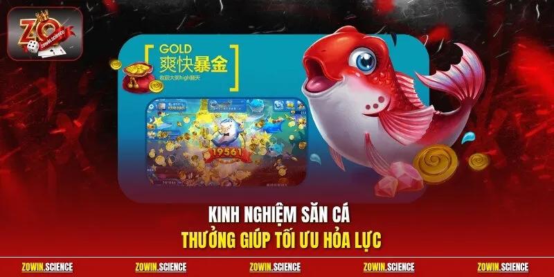 Kinh nghiệm săn cá thưởng giúp tối ưu hỏa lực