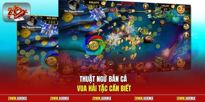 Thuật ngữ bắn cá Vua Hải Tặc cần biết